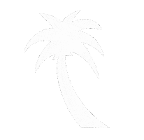 Summer Beach Sticker by Catch Surf