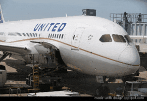 might united airlines GIF
