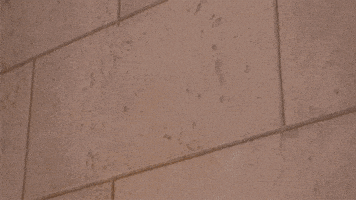 Break It Animation GIF by Tara Duncan