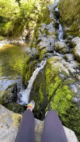 giphy.gif?cid=2154d3d754e585c033271d3ed6