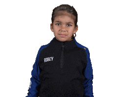 Z.V.V. Pelikaan Sticker