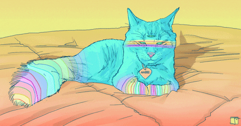 Trippy Cat GIFs Get The Best GIF On GIPHY