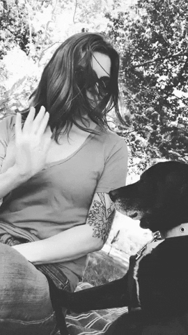 GIF by Jess for Delaware