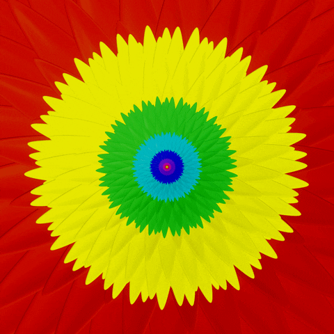 Flower Power Rainbow GIF by Feliks Tomasz Konczakowski