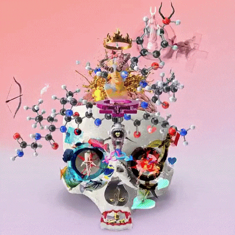 GIF by The LSD Hotel