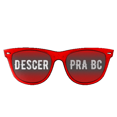 Santa Catarina Balneario Sticker by Brenno e Matheus