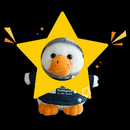 Star Shine GIF by University of Nottingham Malaysia