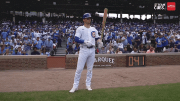Chicago Cubs Mlb GIF