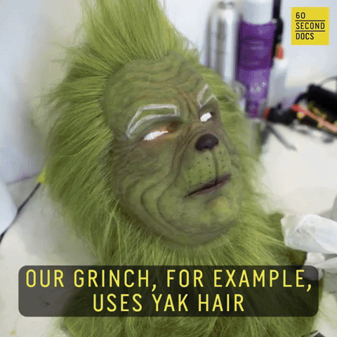 Scaring The Grinch GIF by 60 Second Docs