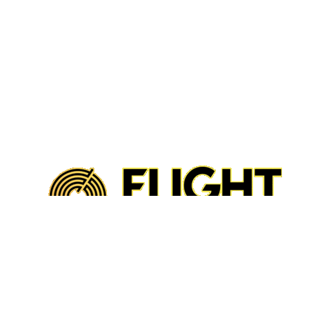 Flight Festival Sticker by Universitatea de Vest din Timisoara