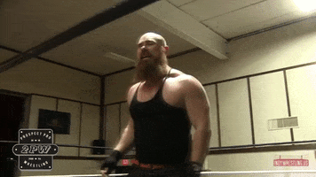 Pittsburgh GIF