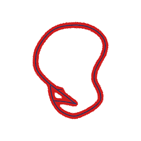 Neon Sticker