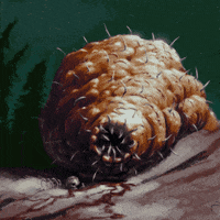 Tbh Creature GIF - Tbh Creature - Discover & Share GIFs