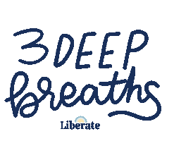 Liberate Sticker