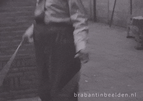 Work Out Wow GIF by BrabantinBeelden