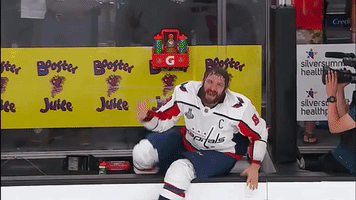Stanley Cup Joy GIF