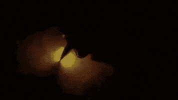 Pen GIF