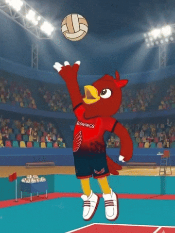 Redwings GIF by soyliceo