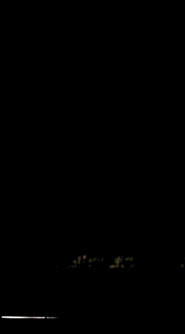 nhvracov GIF
