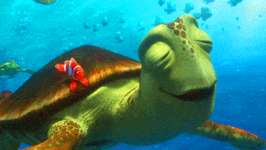 Finding Nemo Crush Gifs Get The Best Gif On Giphy