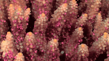 200.gif?cid=fc005b083f6dba93623b8a93baaefb27bd2df3049e445ee0&rid=200.gif&ct=g