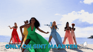 France Dance GIF by ONLY ON SXM