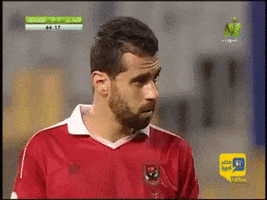 mid  GIF