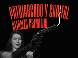 GIF by COMPAÑÍA
