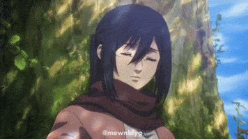 Attack On Titan GIF