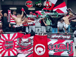 Curva Nord Ca GIF