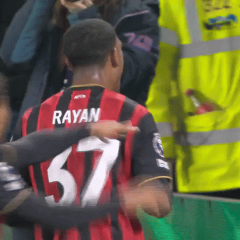 Premier League Football Dancing GIF by AFC Bournemouth
