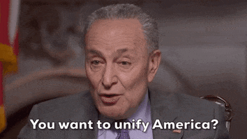 Chuck Schumer Impeachment GIF by GIPHY News