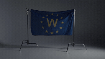 Wwwwwww Eurostat GIF by MRWIZE