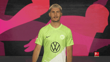 Knock Vfl Wolfsburg GIF by Bundesliga