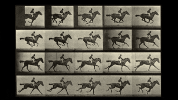 Motion Horse Riding GIF by GIF IT UP
