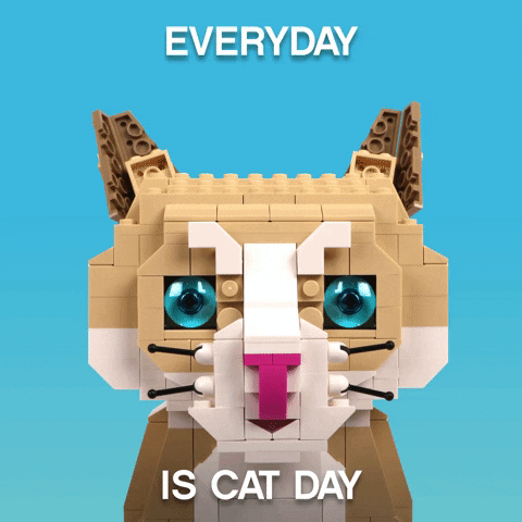 Cat Day GIF by LEGO
