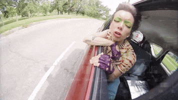 Driving Road Trip GIF by Hurray For The Riff Raff