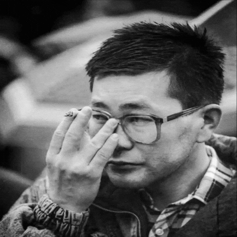 Democrat Mongolia GIF