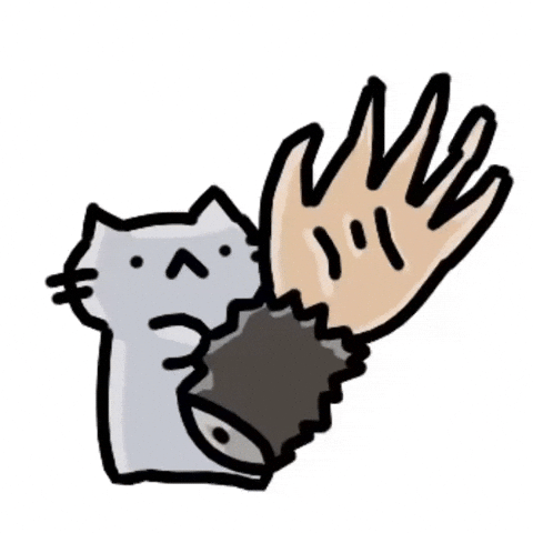 Be Careful What You Wish For Cat GIF