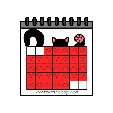 Agenda Completo Sticker by Tras las Huellas del Gato | Lidia
