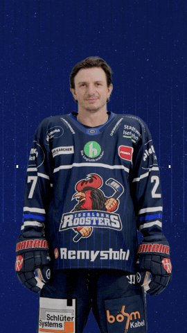 GIF by Iserlohn Roosters