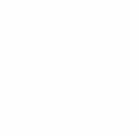 ZBiotec GIF