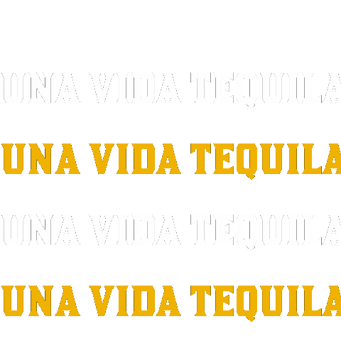 One Life Fun Sticker by Una Vida Tequila