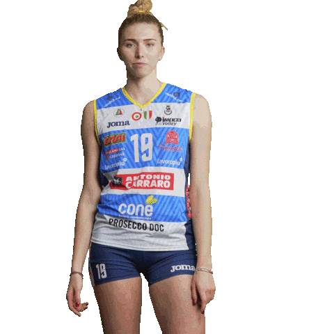 Volleyball Indica Sticker by ImocoVolley