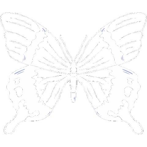 Criativile Sticker