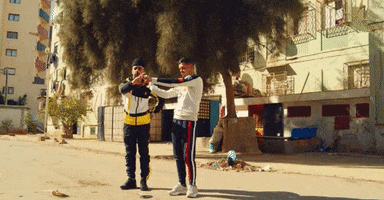 Iconoclast GIF