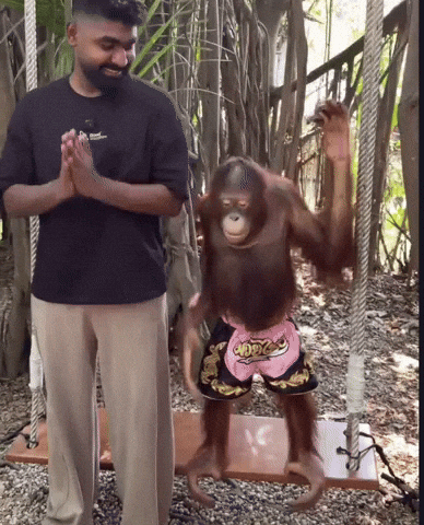 Hanan In Indonesia GIF