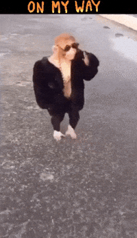 On My Way Gifs Get The Best Gif On Giphy On My Way Gifs Get The Best Gif On Giphy