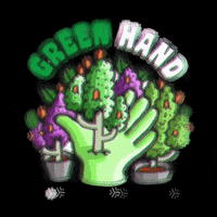 200.gif?cid=fc005b08577ddf764b6722e88bfed11e4a1897effbeaf572&rid=200.gif&ct=g