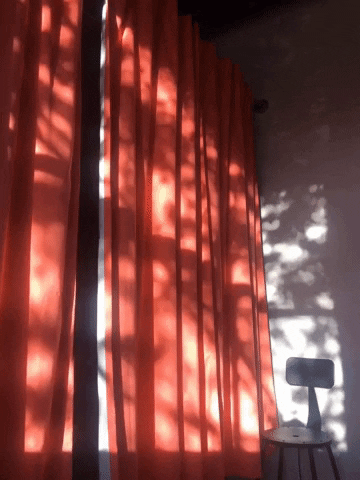 Shadows Curtains GIF by Justin - Find & Share on GIPHY